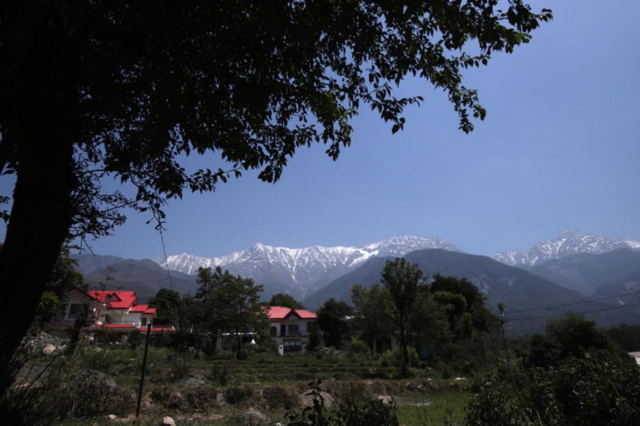Hotel Harmony Blue Mcleodganj McLeod Ganj Exteriér fotografie